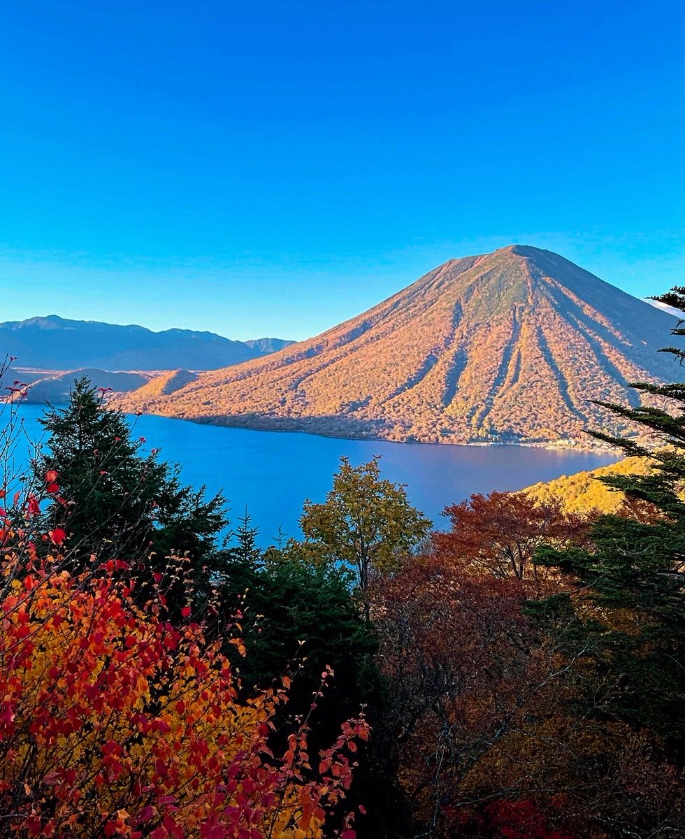 紺碧Konpeki tweet media