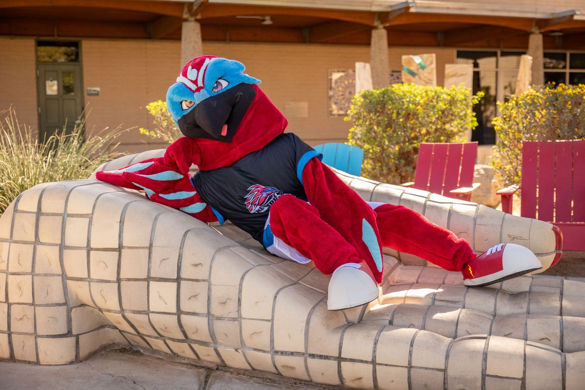 Mesa Community College tweet media