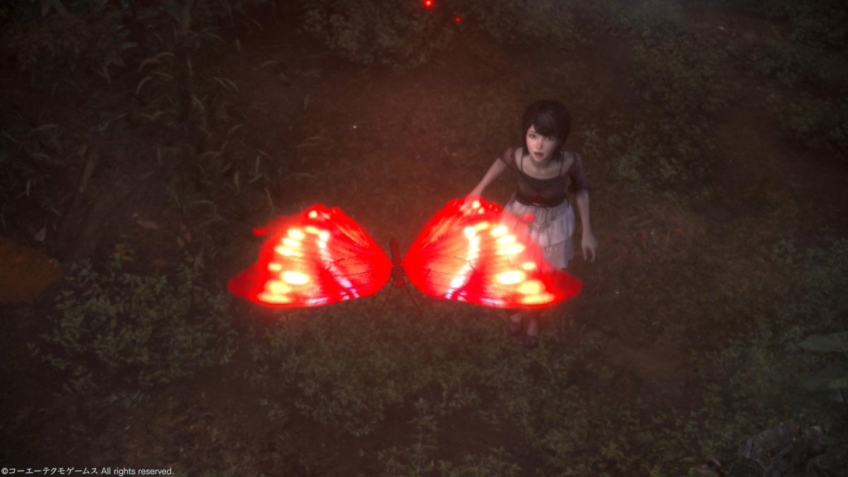 竜頭蛇尾みづきち@花の隊 tweet media