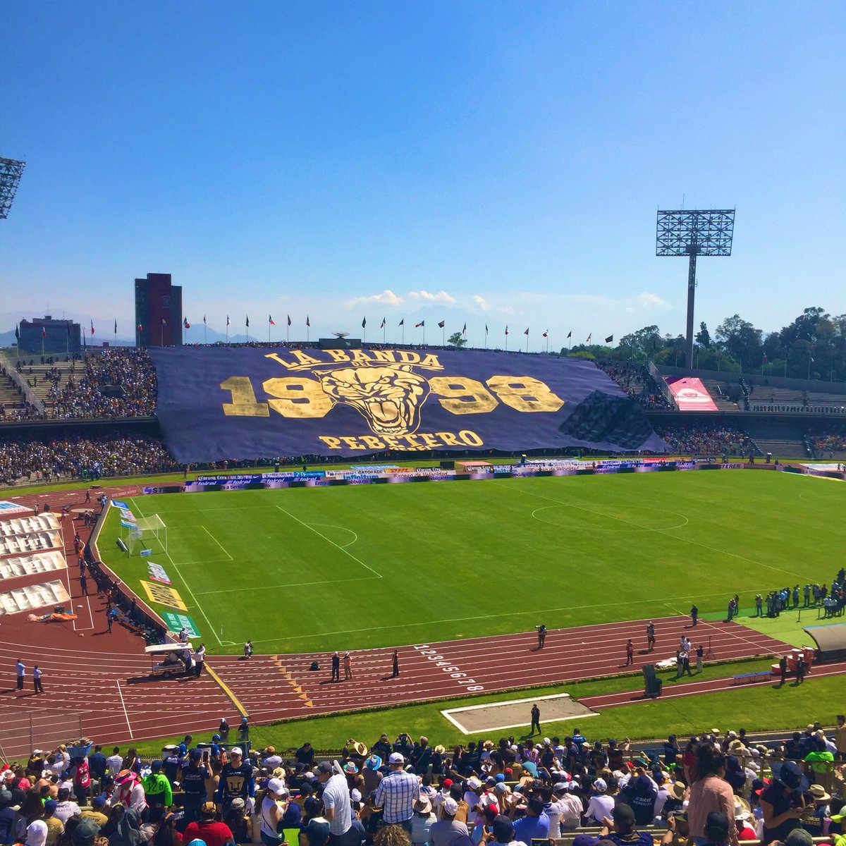 Rey Puma tweet media