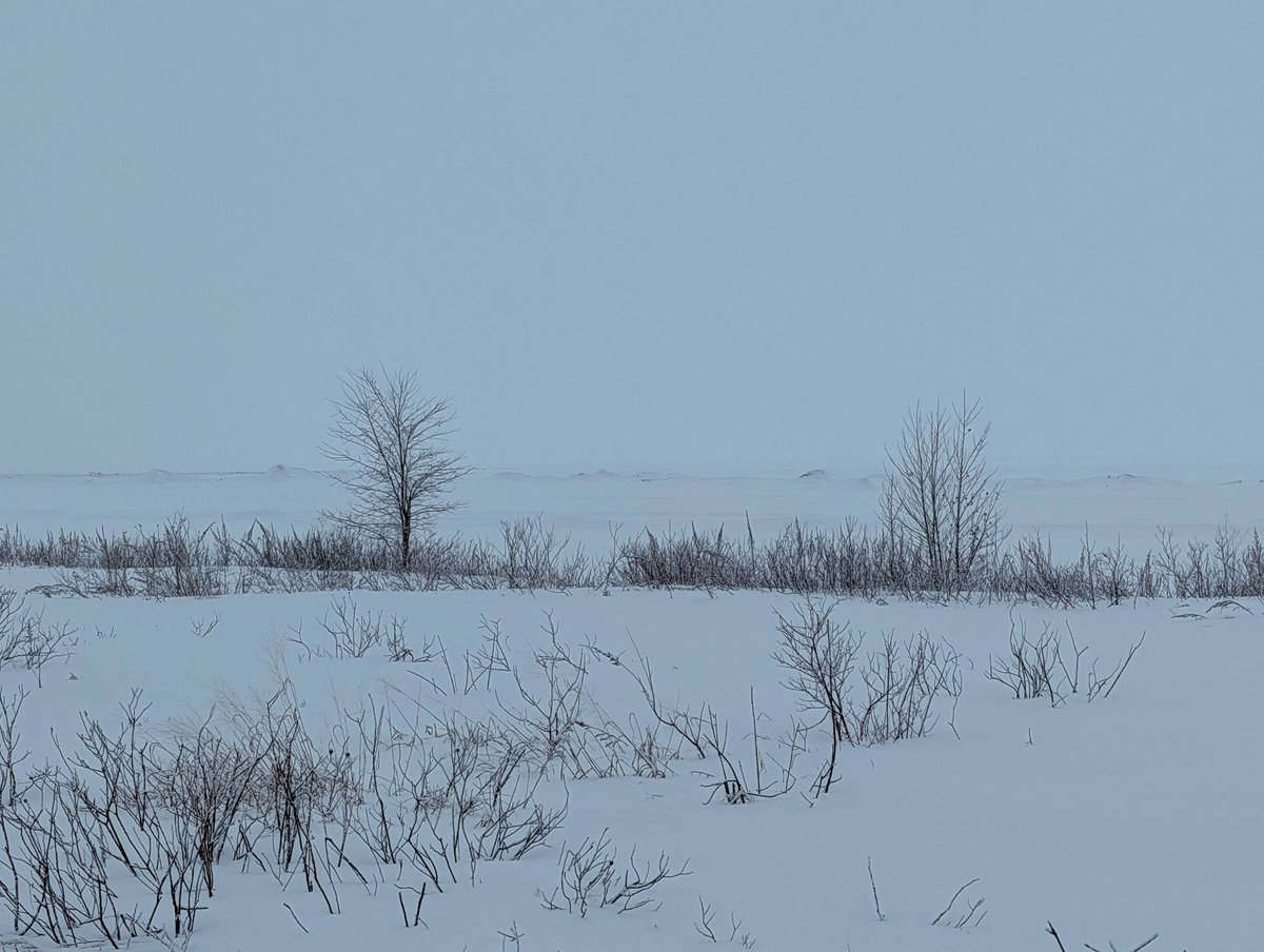 CornersParadise's tweet photo. #friday13th 13 March 2026 #wasagabeach #nosunset #winter @jimsut10 https://t.co/qKdAEm8zug