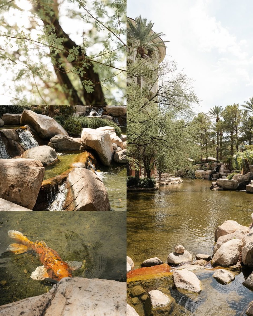 Therdchild tweet media