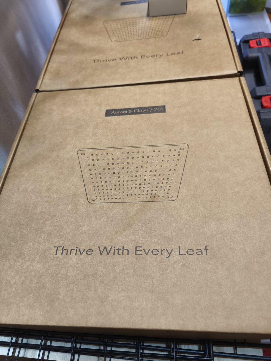 et_wil凜紅kii_ビカクカクシダシダ tweet media