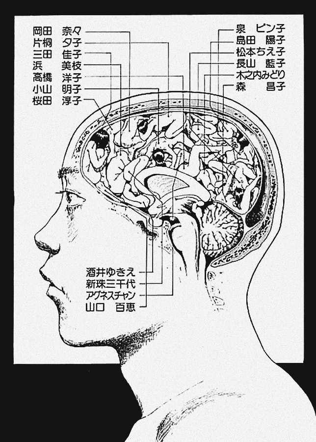 Figs From Plums tweet media