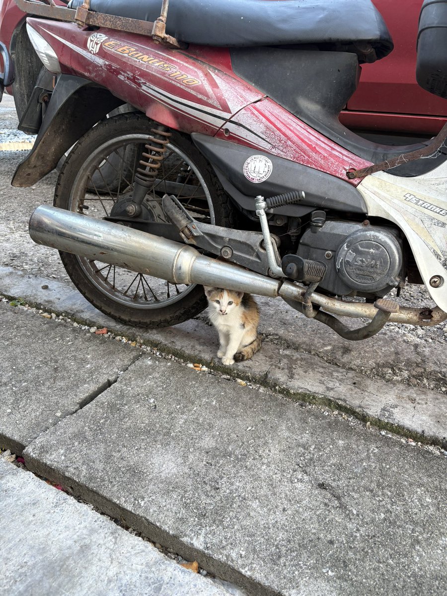 💉🩸 tweet media