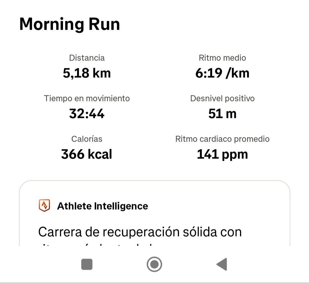 samulinaresf's tweet photo. Activación pre-carrera 🏃🏻‍♂️ https://t.co/KKkHWrZsYn