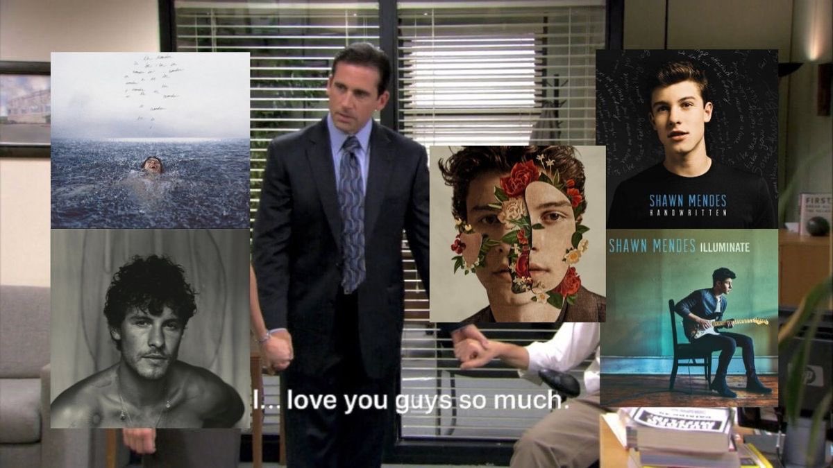 shawn mendes’s albums hate to see me coming