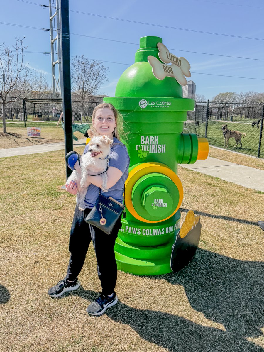 Las Colinas tweet media