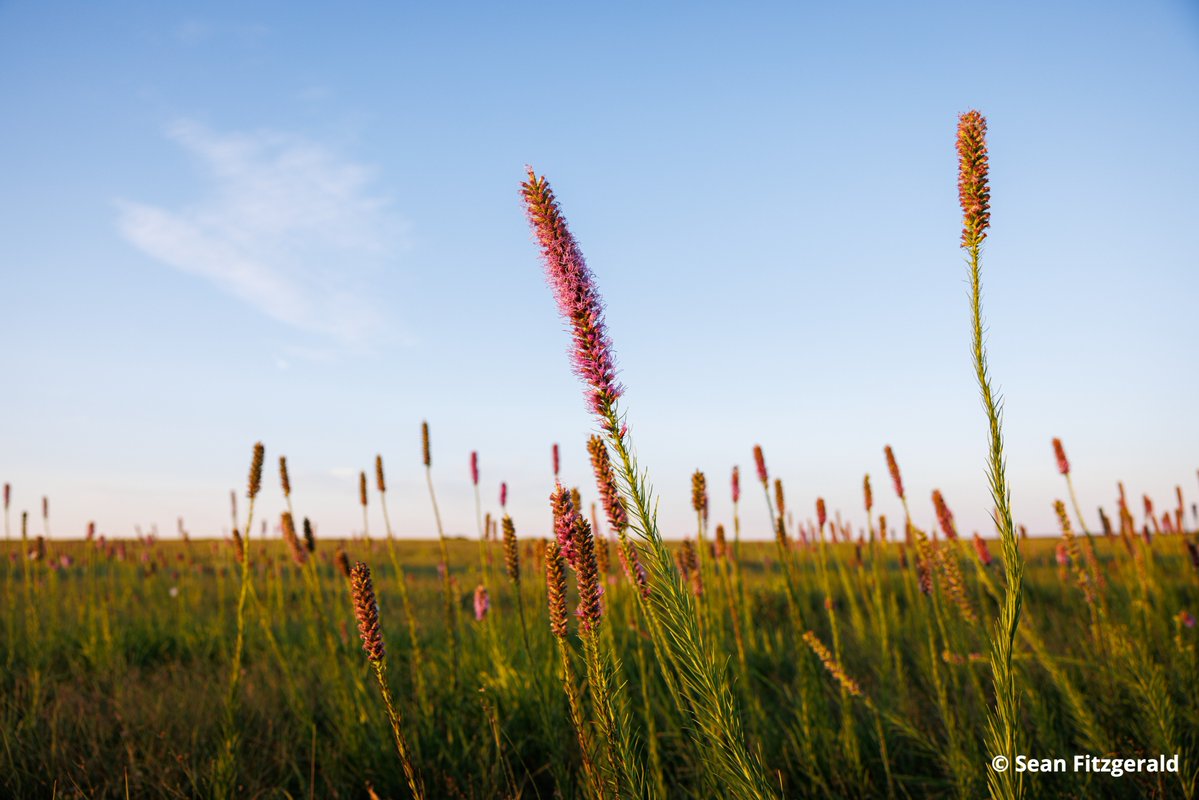 The Nature Conservancy in Texas tweet media