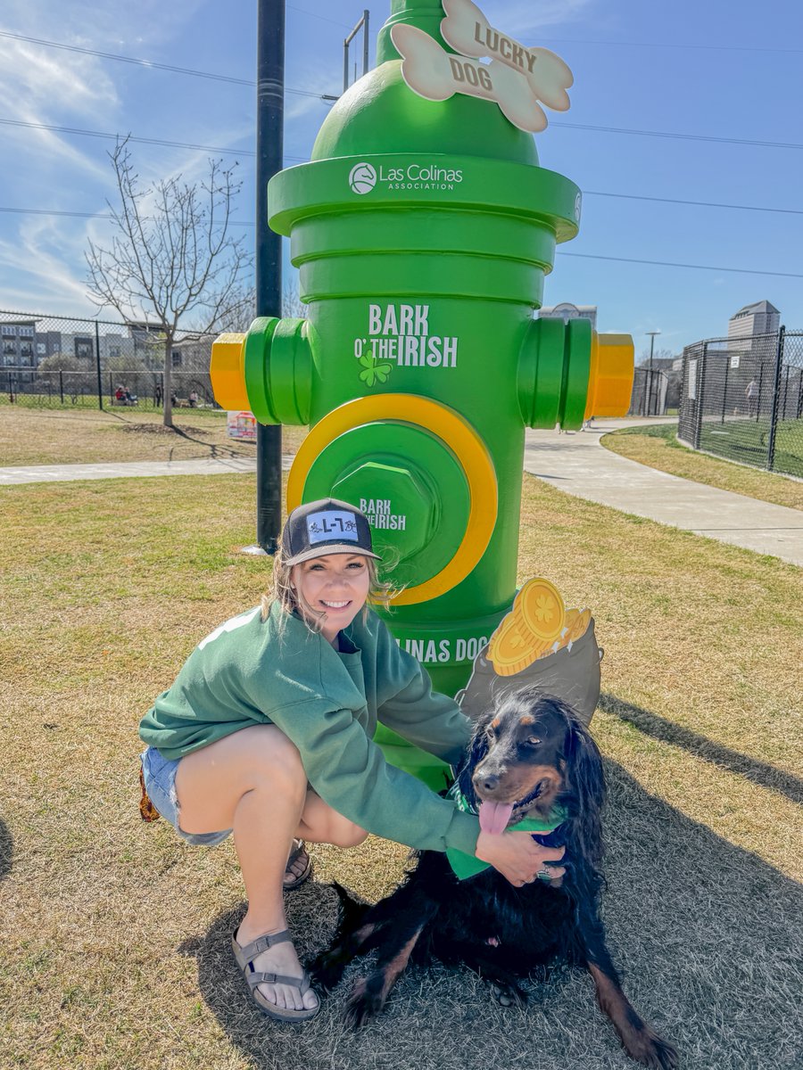 Las Colinas tweet media