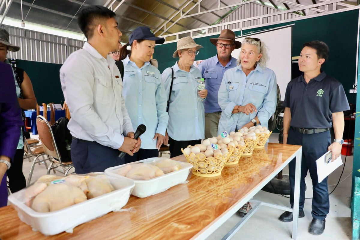 Derek Yip tweet media