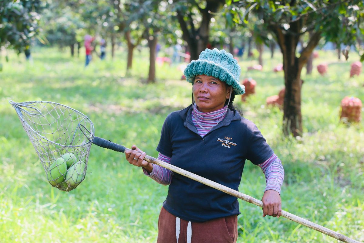 Derek Yip tweet media