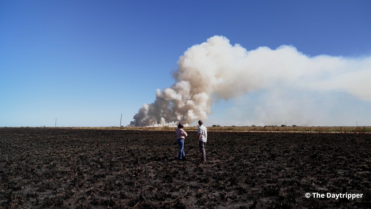 The Nature Conservancy in Texas tweet media