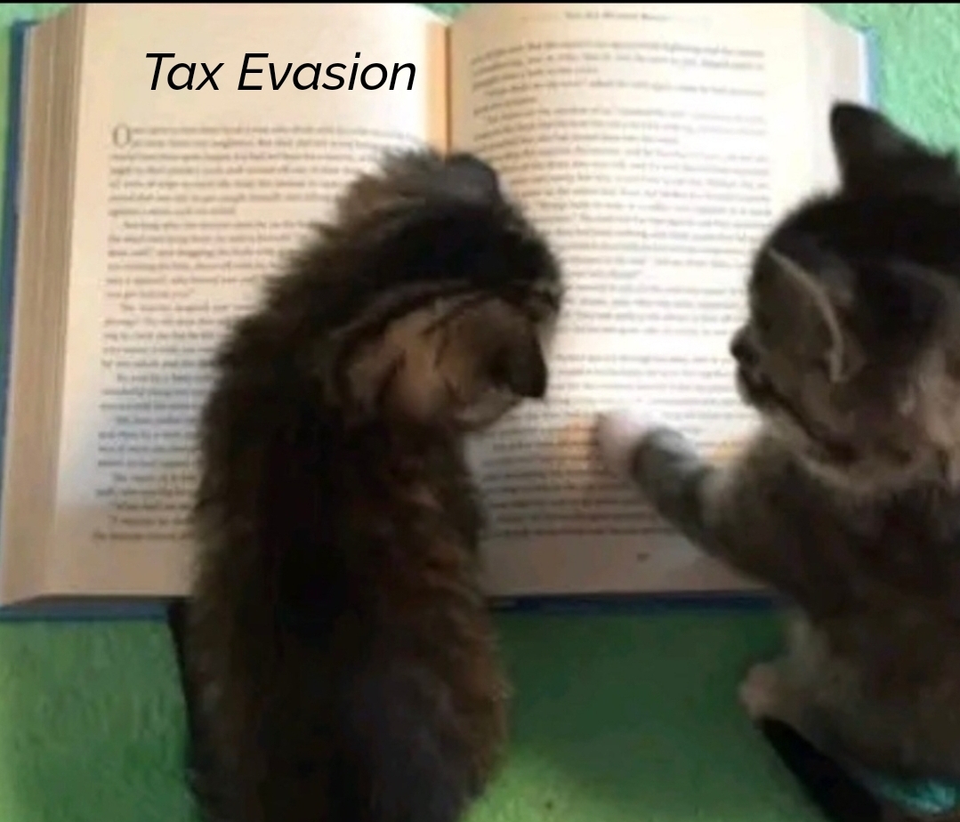 Catsillyness's tweet photo. Criminals! https://t.co/p3qUjcjoaj