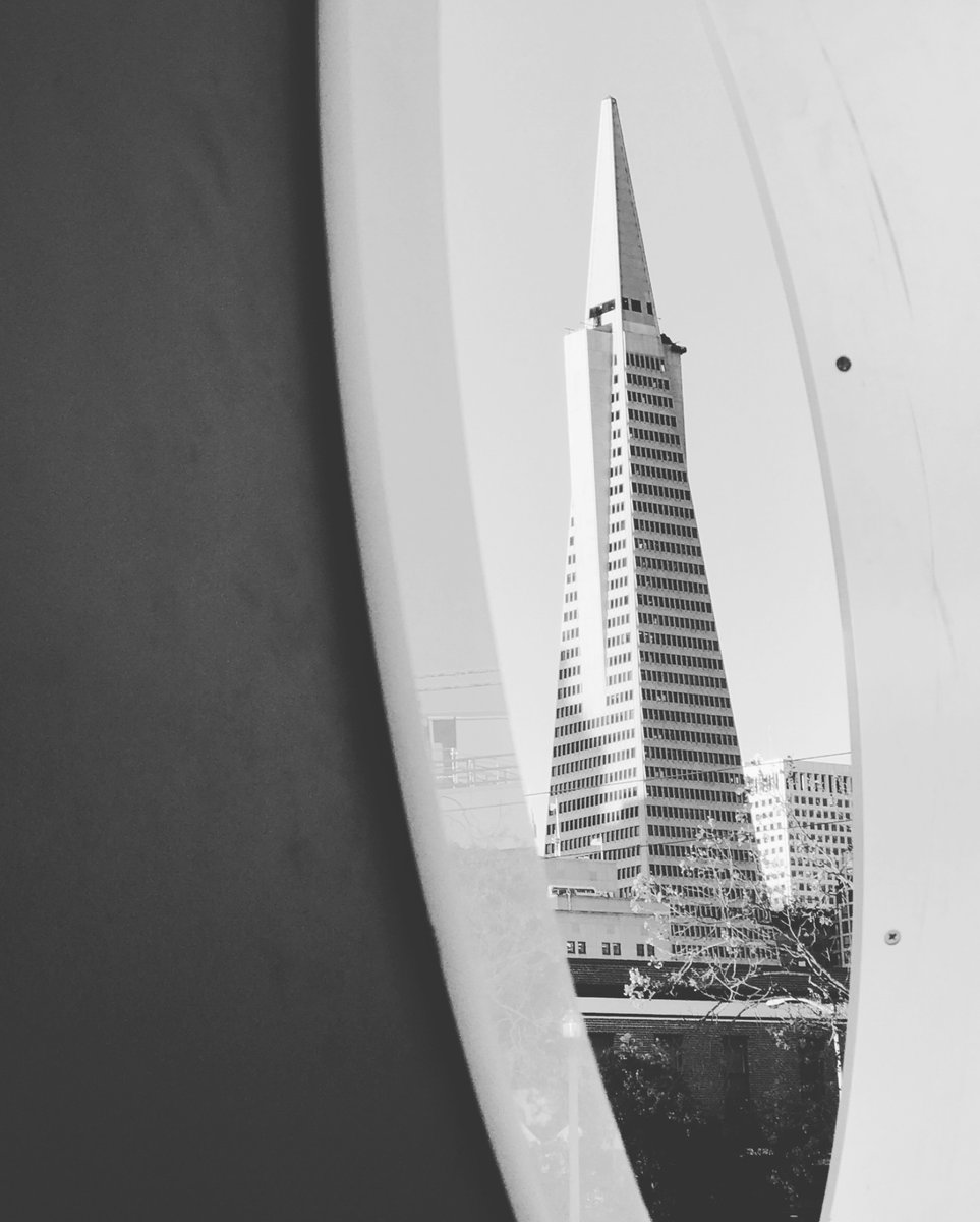 The Girl with the Mozart Tattoo tweet media