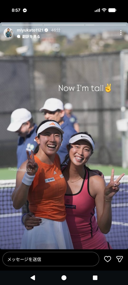 Little Turtle tweet media