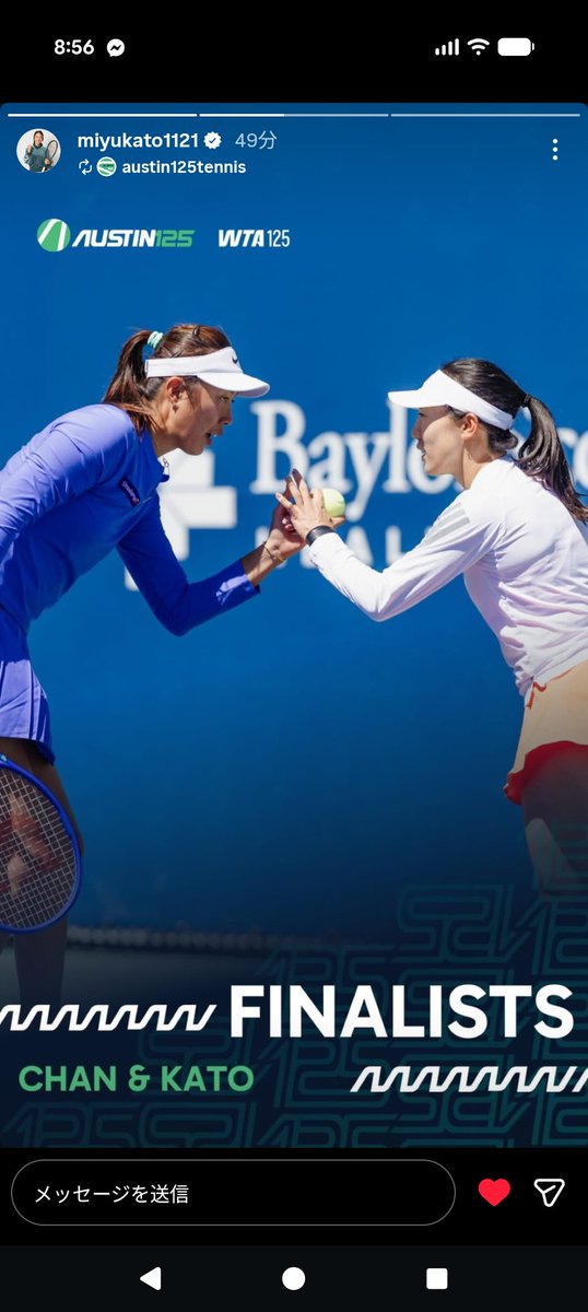 Little Turtle tweet media