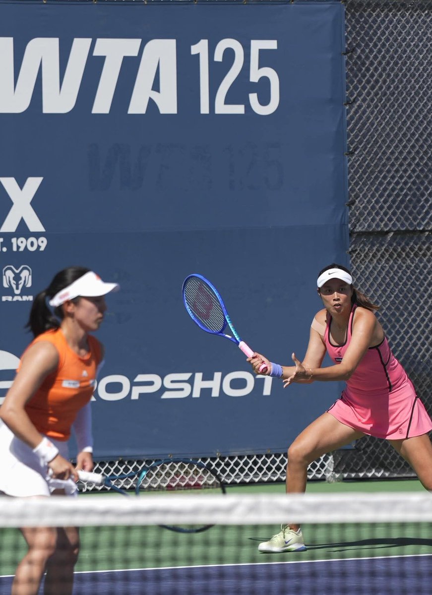 Little Turtle tweet media