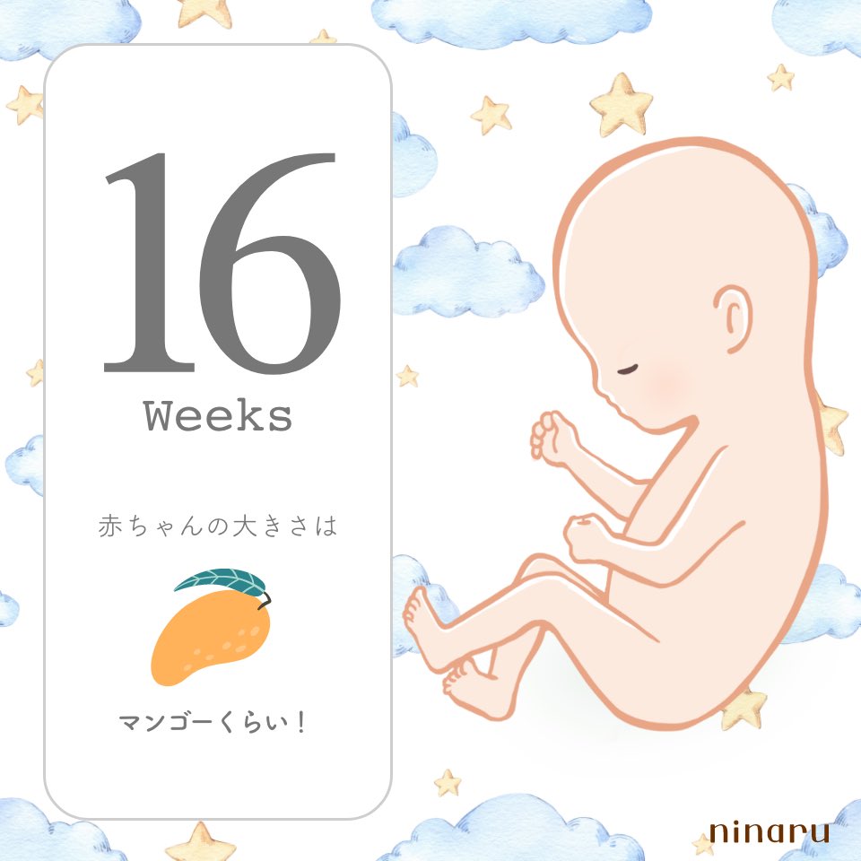 kiki＊初マタ＊19w tweet media