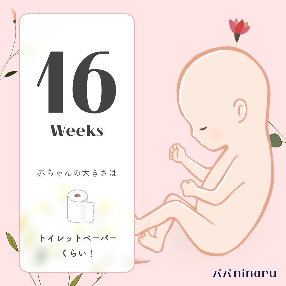 kiki＊初マタ＊19w tweet media