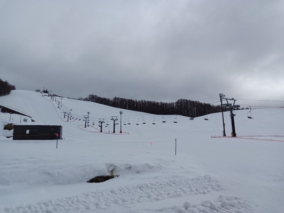 wassamu_ski's tweet photo. 3/14(土)  
運行リフト　第1・第2リフト
第1　10:00〜20:00
第2    10:00〜日没
天候　曇り

⚠️雪不足のためブッシュ・石などが出ています。気をつけてご滑走ください https://t.co/hVFS31PjaB
