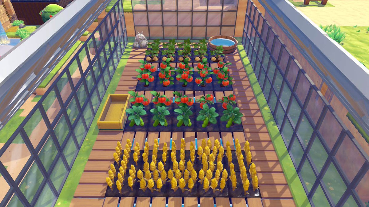 hugochimaru's tweet photo. j’ai fait une petite serre✨🌽 https://t.co/b19qRSNlbJ