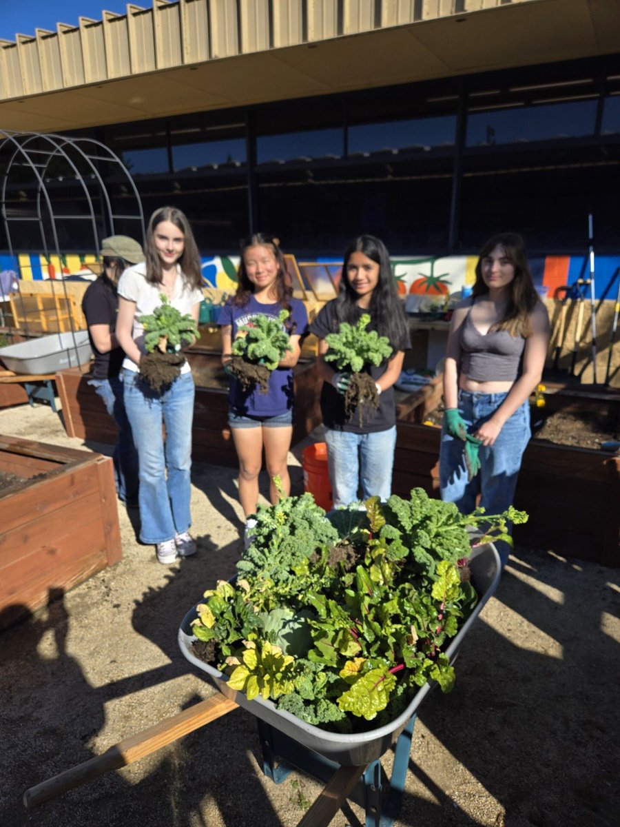 Oak Ridge H.S. tweet media