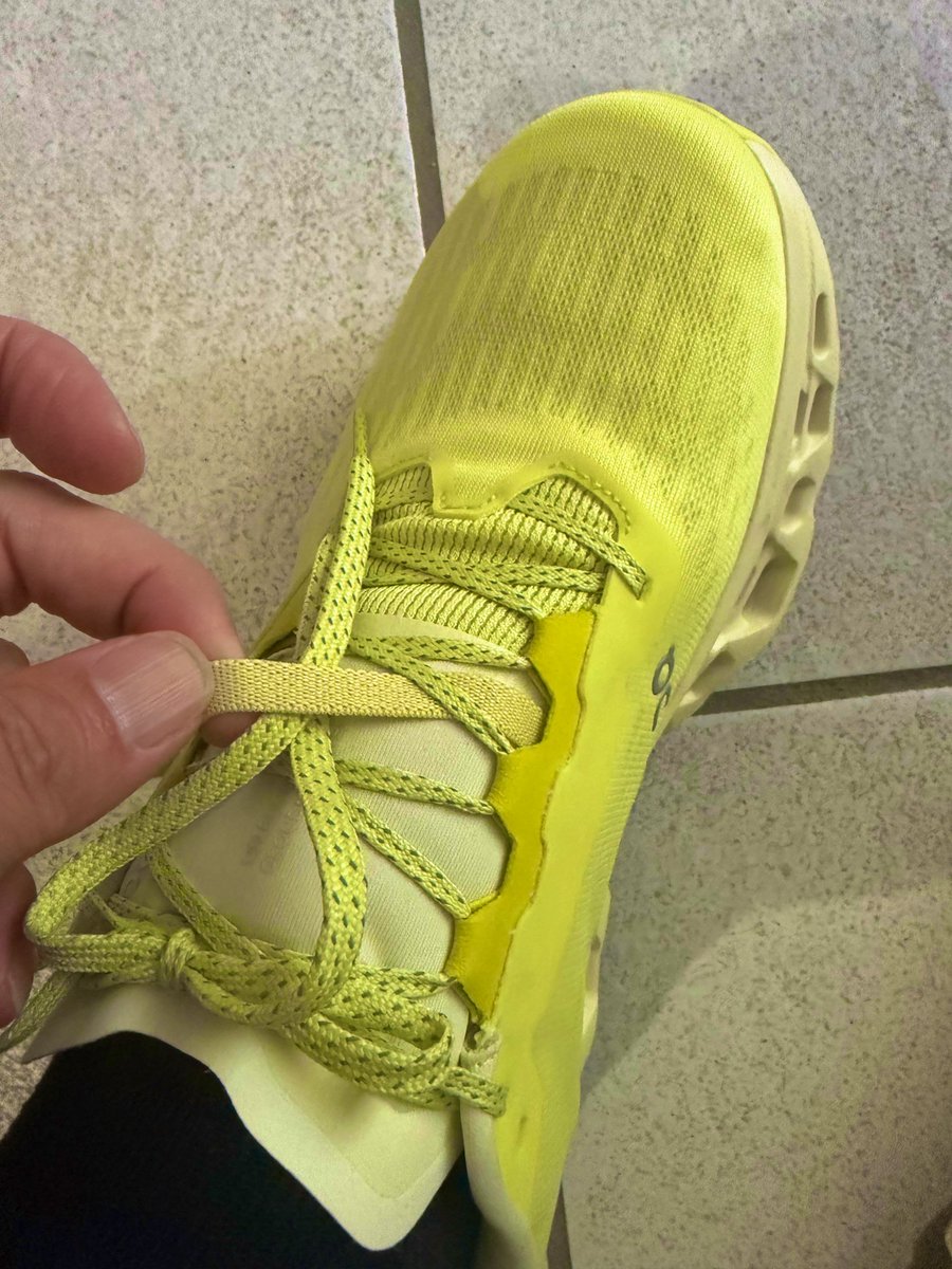 たぬ会長TANU 3/8名古屋 3/29福井📣応援 tweet media