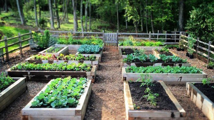 Ignacio Geria tweet media