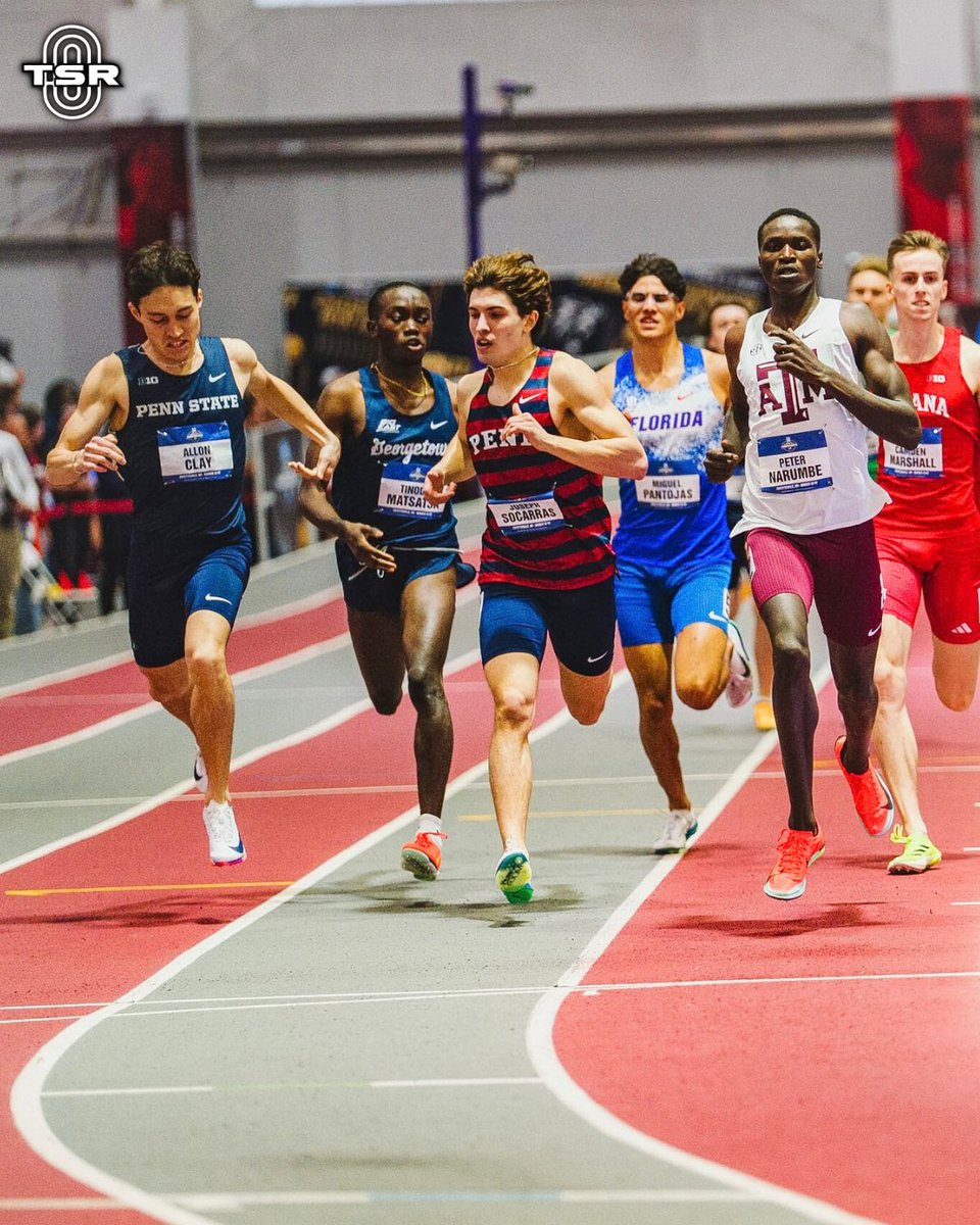 The Stride Report tweet media