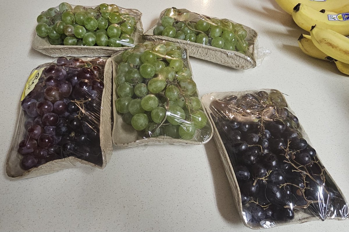 Sue Luxton tweet media