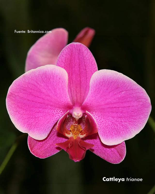 Colombia tweet media