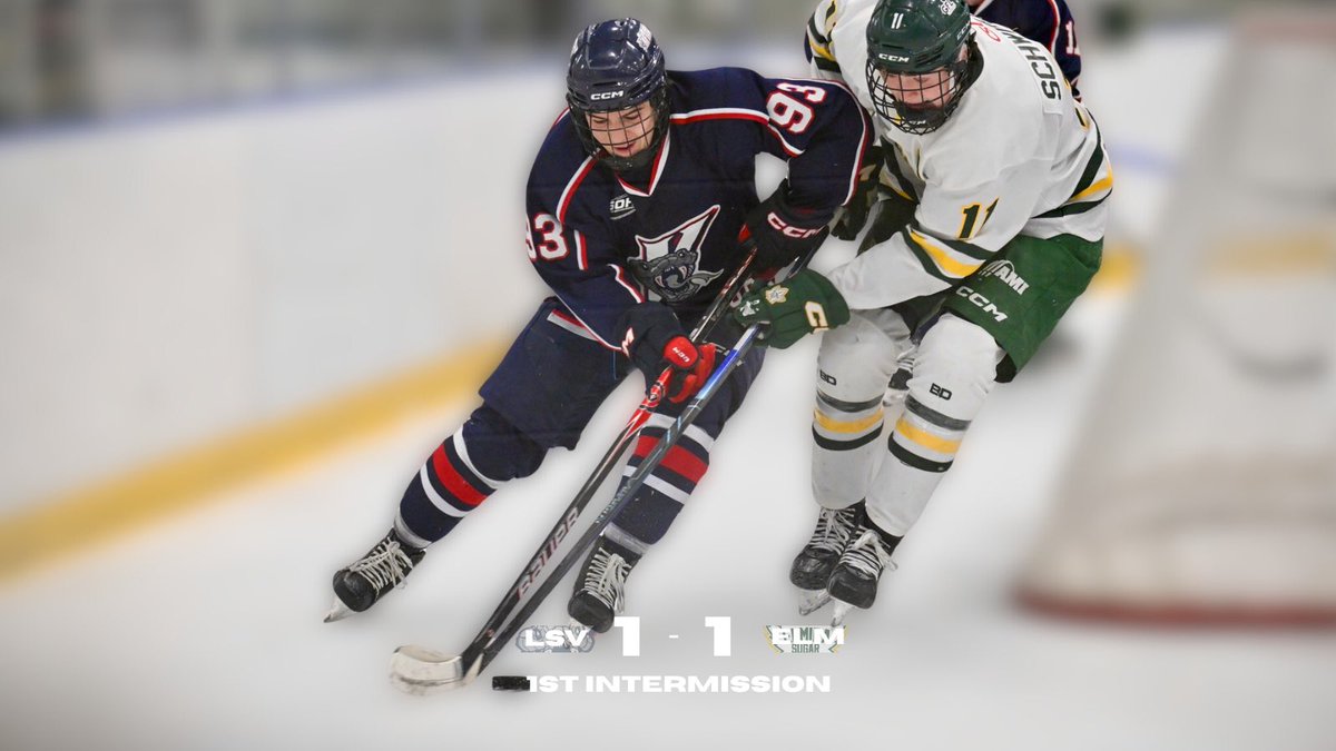 LaSalle Vipers tweet media