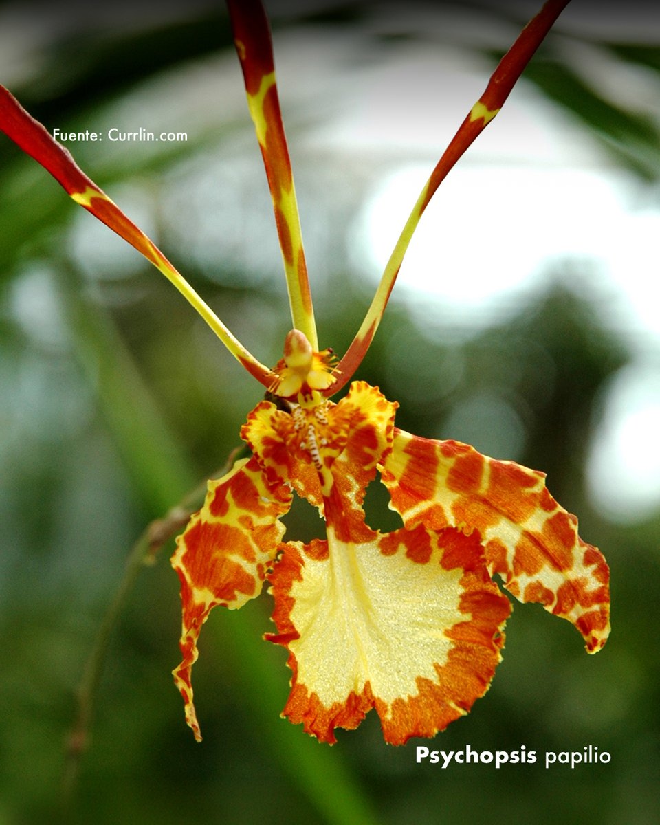 Colombia tweet media