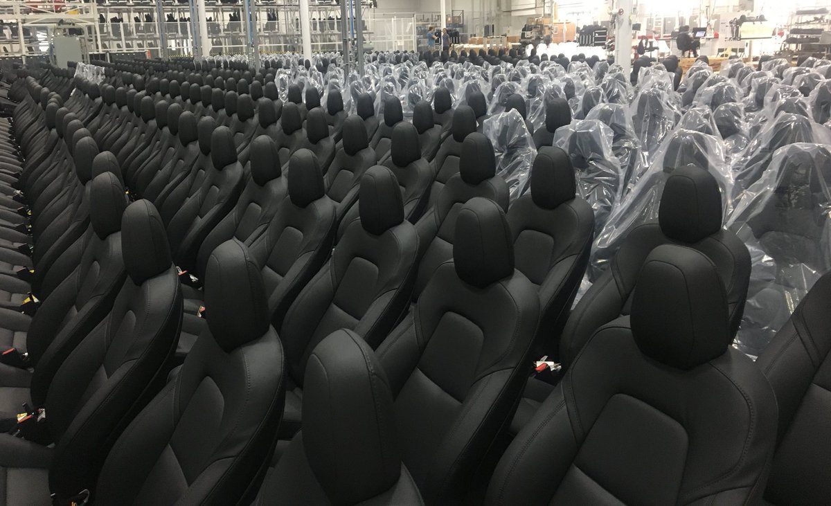 Nic Cruz Patane tweet media