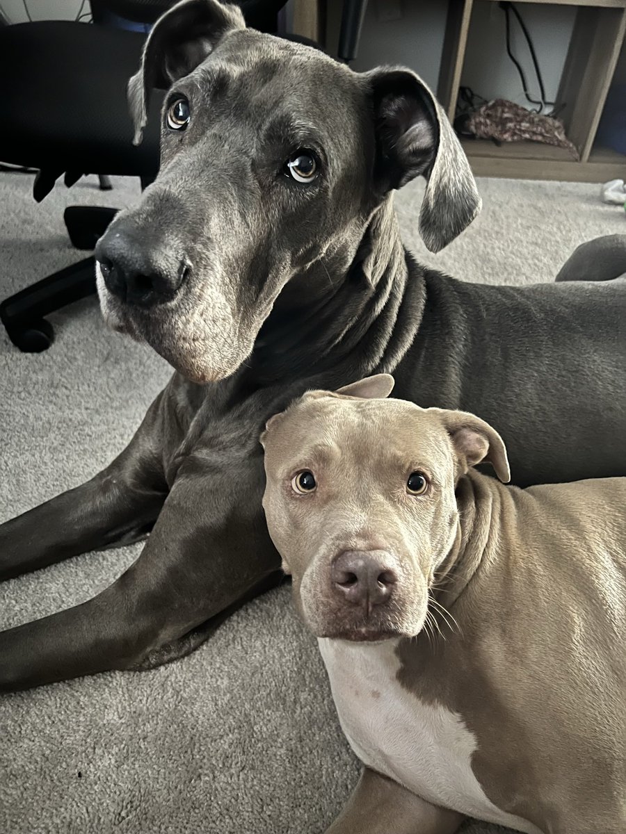 Eric ⚡️ Building... tweet media