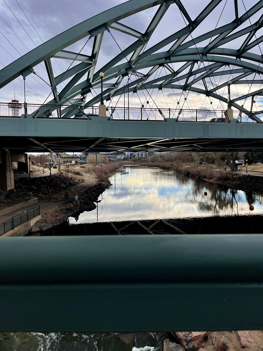 R4cc02 🦝 tweet media