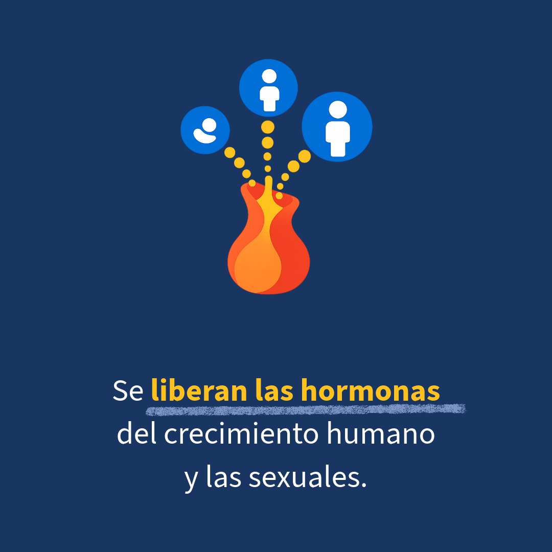 Paidós México tweet media