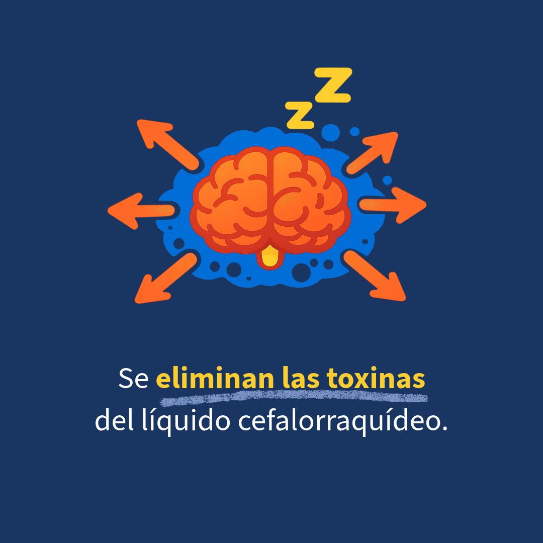 Paidós México tweet media