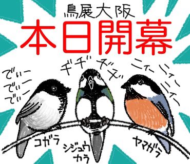 めのう文庫_特別展「鳥」公式トリバサダー tweet media