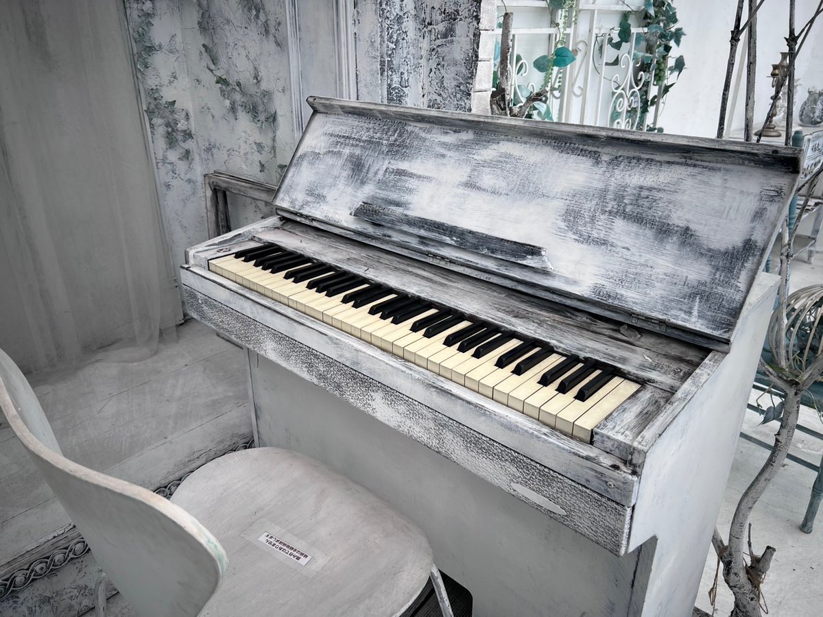 aiRuin studio(アイルーイン) tweet media