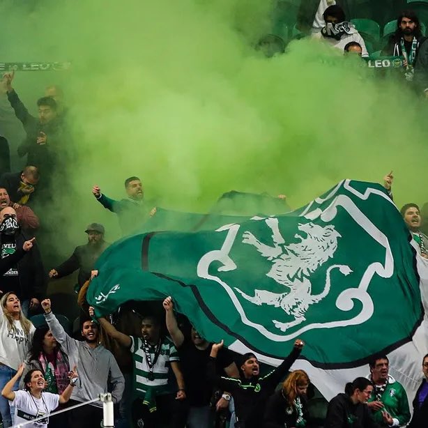 Sporting Adeptos tweet media