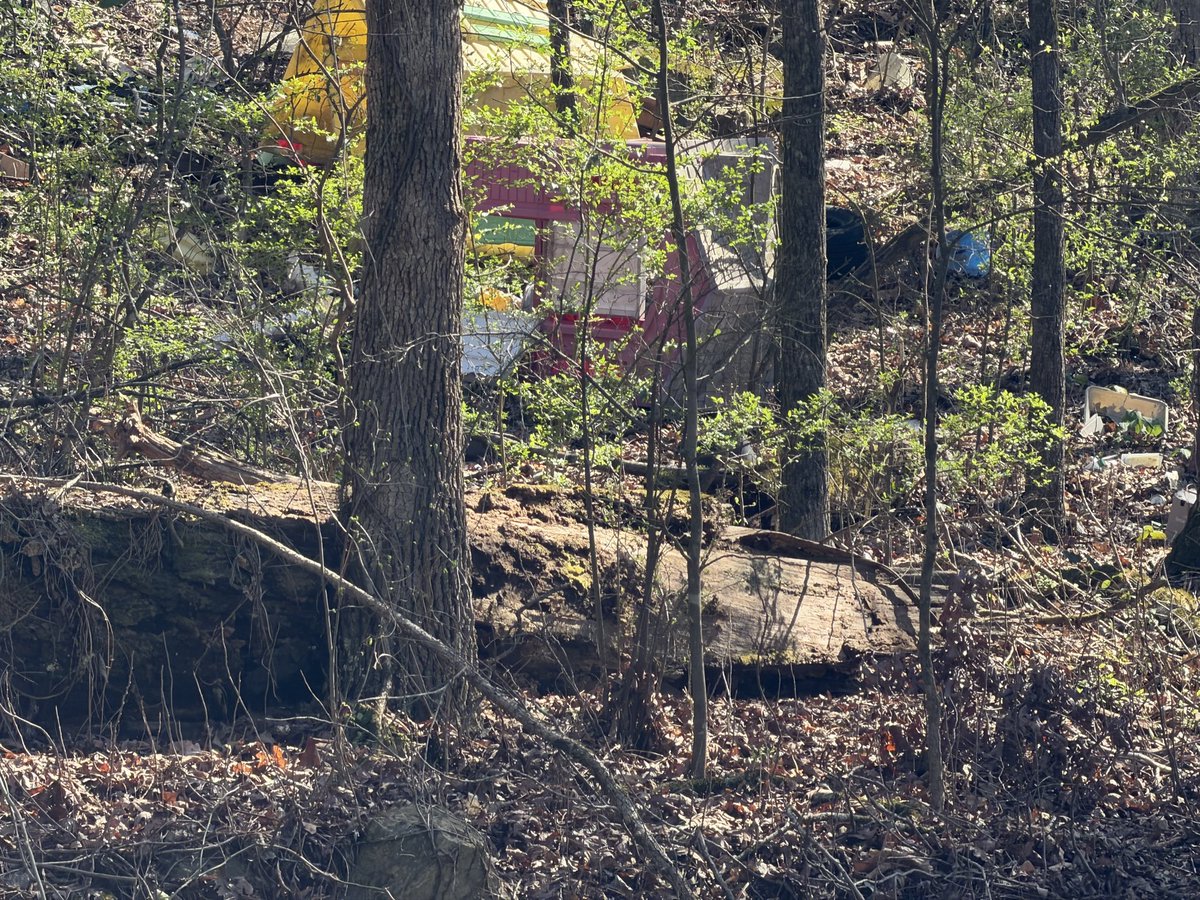 Brady Talbert tweet media