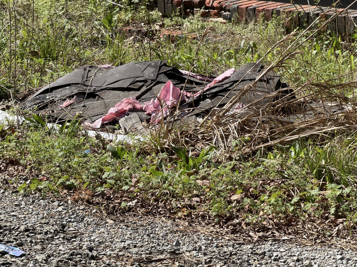 Brady Talbert tweet media