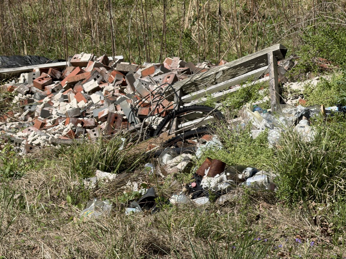 Brady Talbert tweet media