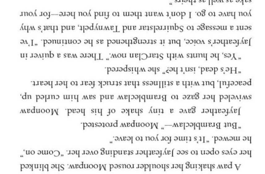 vicky dicky 🇻🇪 tweet media