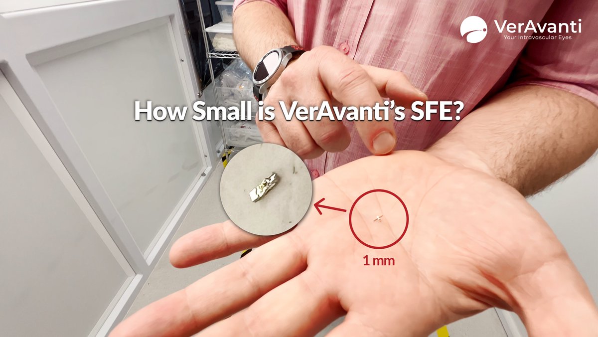 VerAvanti Inc. tweet media