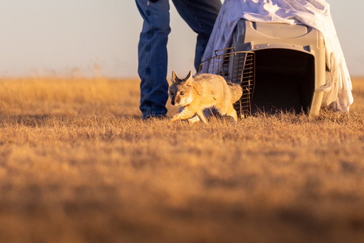 Patrick Barron 🐻〽️ tweet media