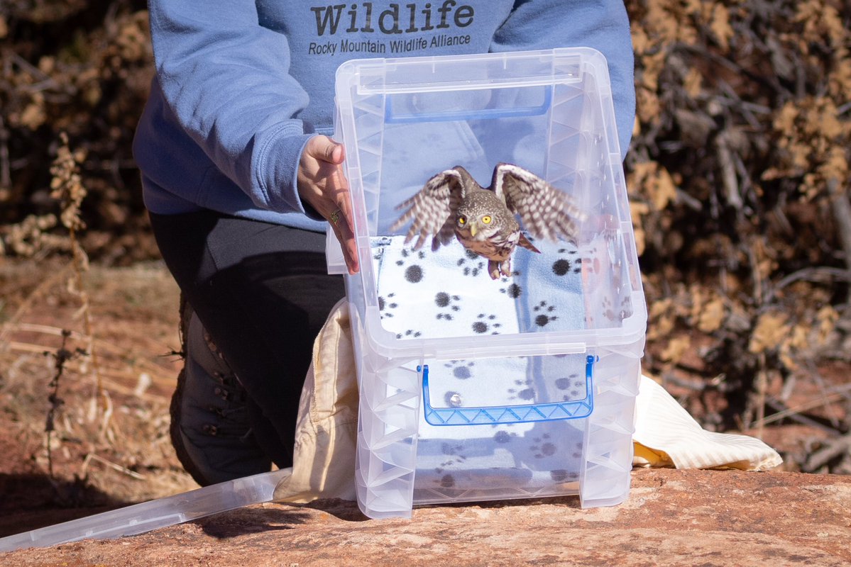 Patrick Barron 🐻〽️ tweet media