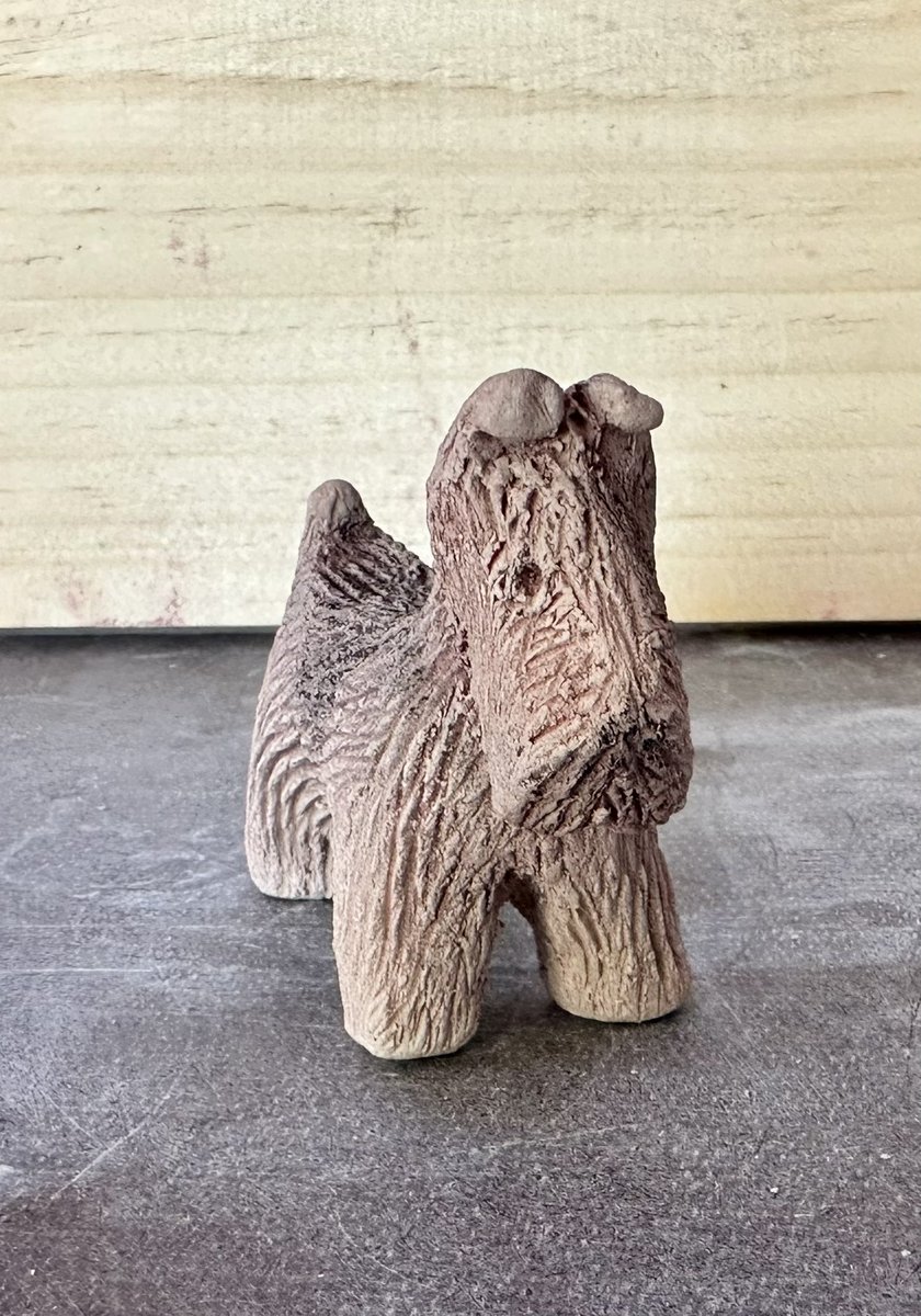 Moss the BT 🇳🇿 tweet media